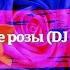 Frequenz Cиние розы DJ X FORCE REMIX