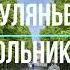 НА ГУЛЯНЬЕ В СОКОЛЬНИКАХ А П Чехов