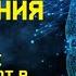 3 опасных убеждения которые могут перерасти в вирусы сознания