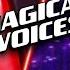 Breathtaking MAGICAL VOICES The Voice Best Blind Auditions