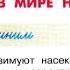 Окружающий мир 2 класс ч 2 Перспектива с 82 85 тема урока Весна в мире насекомых