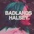 Halsey Control Slowed Down