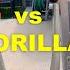 Little Giant Vs Gorilla Comparing Multi Position Ladders