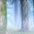 Naruto Shippuden Narutimate Accel 2 Mokuton Vs Mokuton Yamato Vs Hashirama Senju