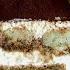 Тирамису Идеальный рецепт Tiramisu The Best Recipe