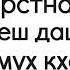 111 Шегар керстналла мел даьлчун деш дац такфир бохчунах мух кхета веза Абу Хьузайфа