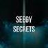 Seegy Secrets Extended Mix