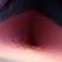 Noot Noot но это жмых эффект