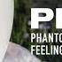 Ploho Phantom Feelings FULL ALBUM STREAM ARTOFFACT