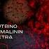 DJ Nejtrino Nikita Malinin Eva Petra Red Lights