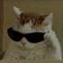 Drama Queen GAVRILINA Speed Up