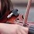 Believer Imagine Dragons Violin Cover By Karolina Protsenko