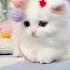 Cute Persian Cat Playing White Playing Persian Cat Cutecat Persiancat Playingcats