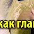 Вода как главный компонент пищи Под грифом