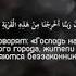 Те которые уверовали сражаются на пути Аллаhа Ислам Коран рекомендации