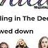 Adele Rolling The Deep Slowed Down