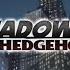 20 Mins Of Shadow The Hedgehog Intro US GameCube