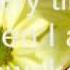 Beautiful Nasheed