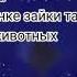 DVD меню Караоке детский