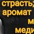 ОШО Невероятные Цитаты о Жизни и Любви Цитаты афоризмы и мудрые мысли