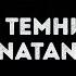 Елена Темникова и Natan Наверно Караоке