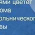 Если елка огнями цветет Марк Фрадкин Детский хор Дома пионеров Сокольнического р на Москвы 1959