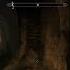 Fus Ro Dumbass