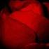 Synthetic Love