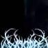 Woods Of Desolation The Inevitable End With Lyrics