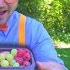 Detective Blippi Video For Children Police Videos For Kids
