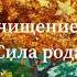 Медитация Очищения рода и получения ресурса от рода Практика наполнения родовым ресурсом