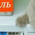 Зачем я стираю с солью Добавьте СОЛЬ во время стирки и ПОСМОТРИТЕ ЧТО ПРОИЗОЙДЕТ Секрет стирки