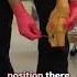 Looking At Real Knee Ligaments On A Cadaver