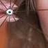 Fast ASMR Visual Tingles In 1 Minute Shorts