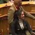 Unusual Scene In New Zealand Parliament Māori Haka Dance NewZealand NewZealandParliament Protest