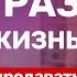 Как продать что угодно кому угодно Как продавать Научись продавать продажи продвижение