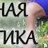 СУСТАВНАЯ ГИМНАСТИКА РАСТЯЖКА Акцент на НОГИ и РАСКРЫТИЕ ТАЗОБЕДРЕННЫХ суставов