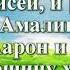 Видео Библия Книга Исход без музыки глава 17 Бондаренко