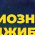 Грандиозная сила Джибриля Shorts