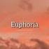U Are The Cause Of My Euphoria Jungkook Euphoria BTS Shorts Jungkook
