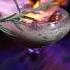 Golden Tiki In Las Vegas Is The Place To Be For The Holidays Lasvegas Vegas Speakeasy