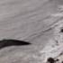 Flying With A Dinosaur Walking With Dinosaurs In HQ BBC Earth