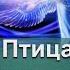 Агата Кристи Аудиокнига Птица со сломанным крылом Аудиокниги Детективы Слушать Онлайн Бесплатно