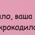 Минутка смеха Отборные одесские анекдоты 712 й выпуск