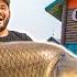 CHEAP Vs EXPENSIVE Bass Pro Shops CHALLENGE Catch Clean Cook