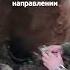 ВСУ сдаются в плен десять солдат взяты армией России в Донбассе и Запорожье