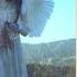 Grimes Flesh Without Blood Life In The Vivid Dream Empty Throne Remix Slowed Reverb