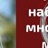 Мой тайный поклонник Кто тайно наблюдает за мной и зачем