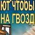 Притча собака на гвозде Почему люди жалуются и ничего не делают