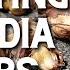 Planting Tigridia Bulbs Mexican Shellflower